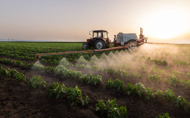 Best Pest Control Treatment  in Peridot, AZ