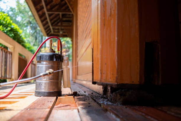 Best Mosquito Control Services  in Peridot, AZ